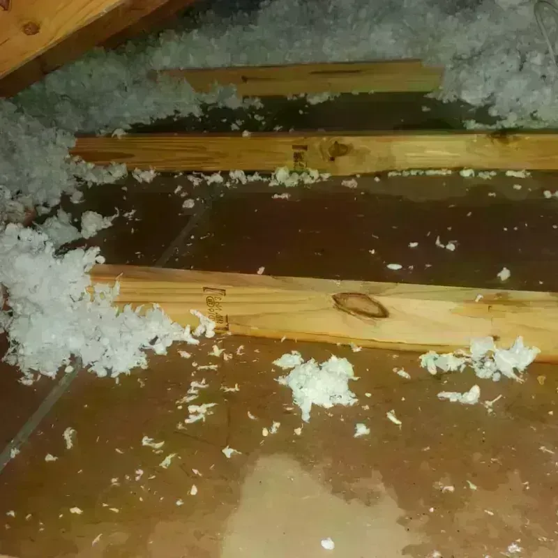 Attic Water Damage in Candler County, GA